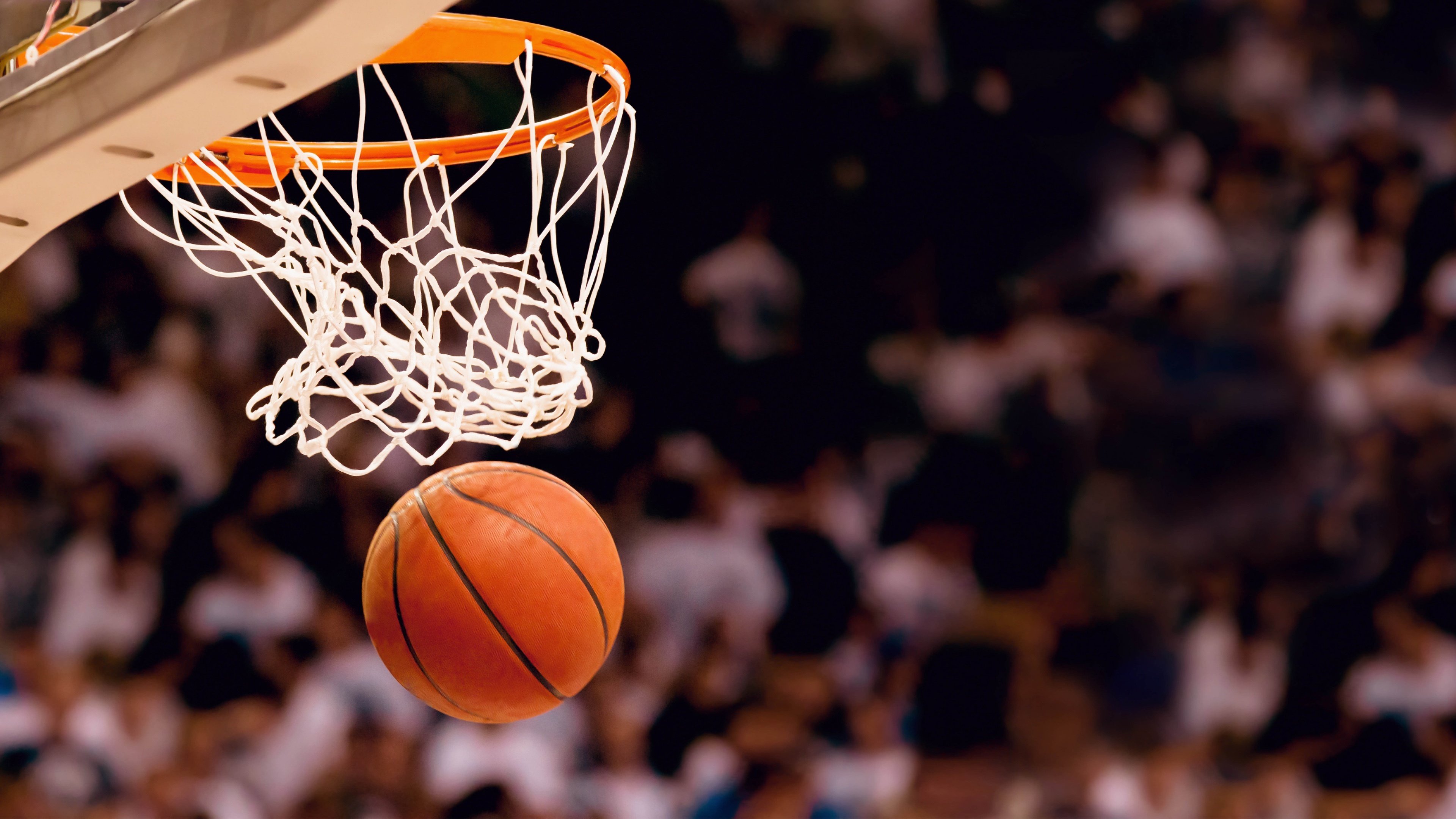 绿茵之上的孤独英雄,当卢卡库的光芒照亮2026世界杯A组的暗夜